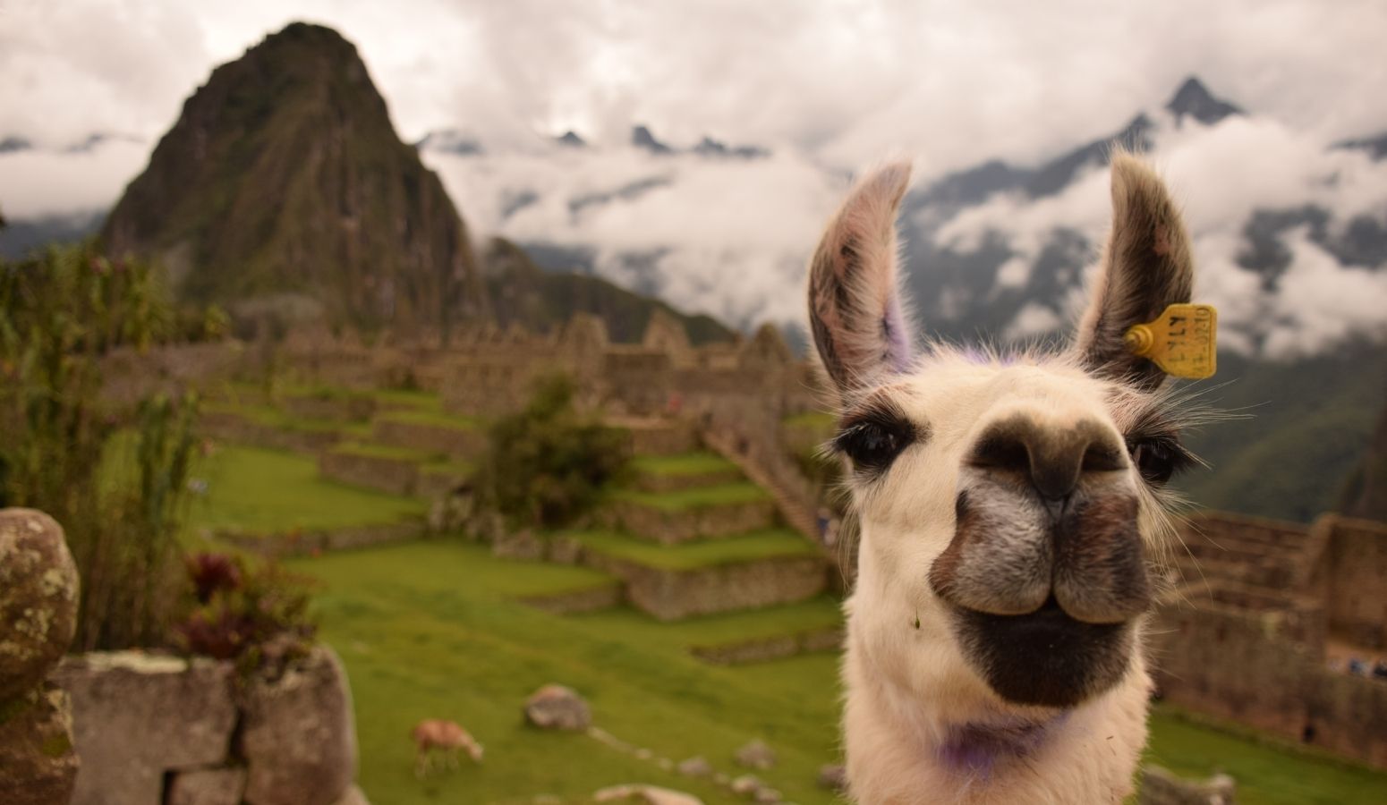 familias monoparentales en peru